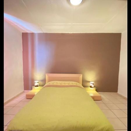 Belle Appartement Chaleureux A 2 Mn A Pied Du Tramway. Сент Етиен Екстериор снимка